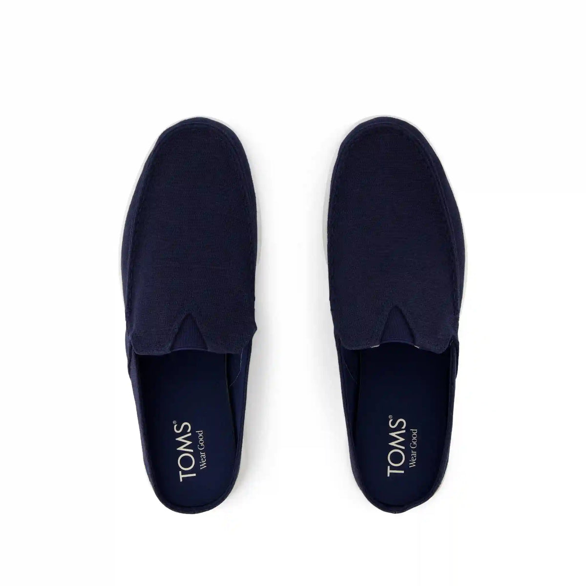 Alonso Mule Dark Sky Heritage Canvas